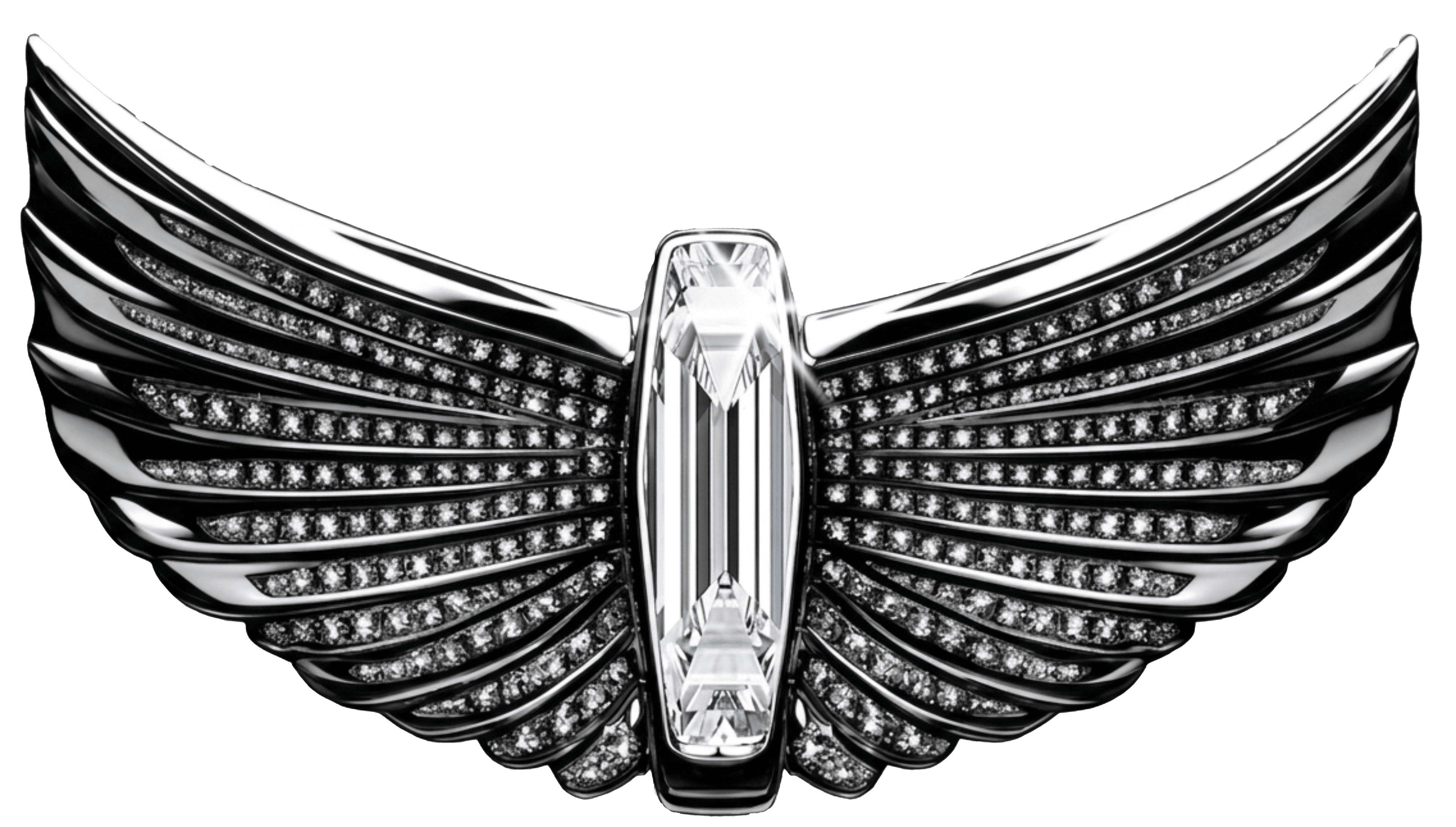 Diamond Wings Chauffeur Logo